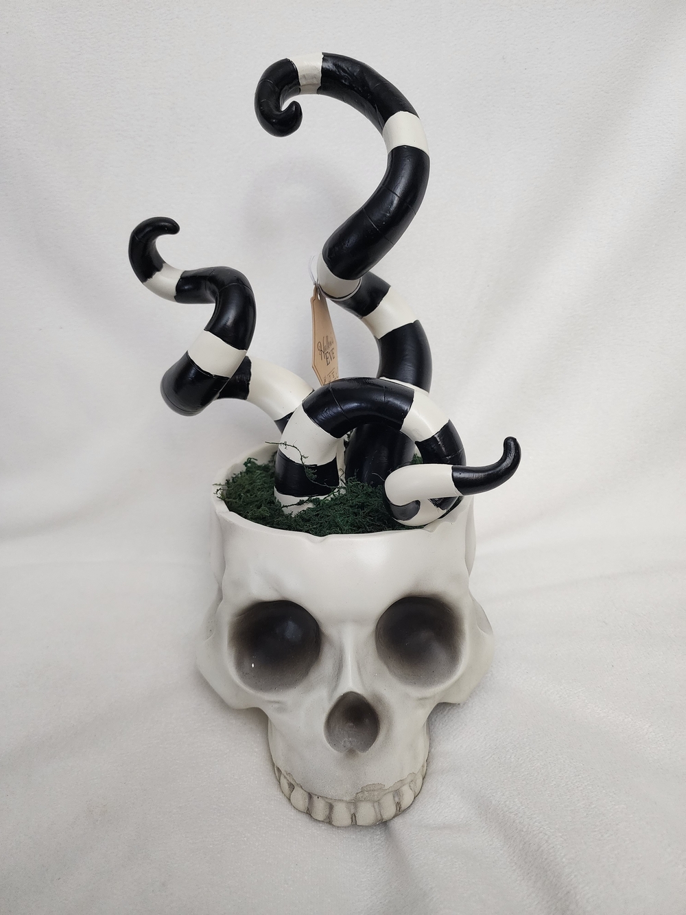 Decorative Black and White Striped Tentacle Skull Planter